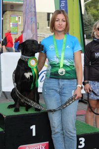 Fragment biegu Pucharu Polski w Dogtrekkingu w Wiśle